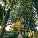 Vieille Boulogne-sur-Mer